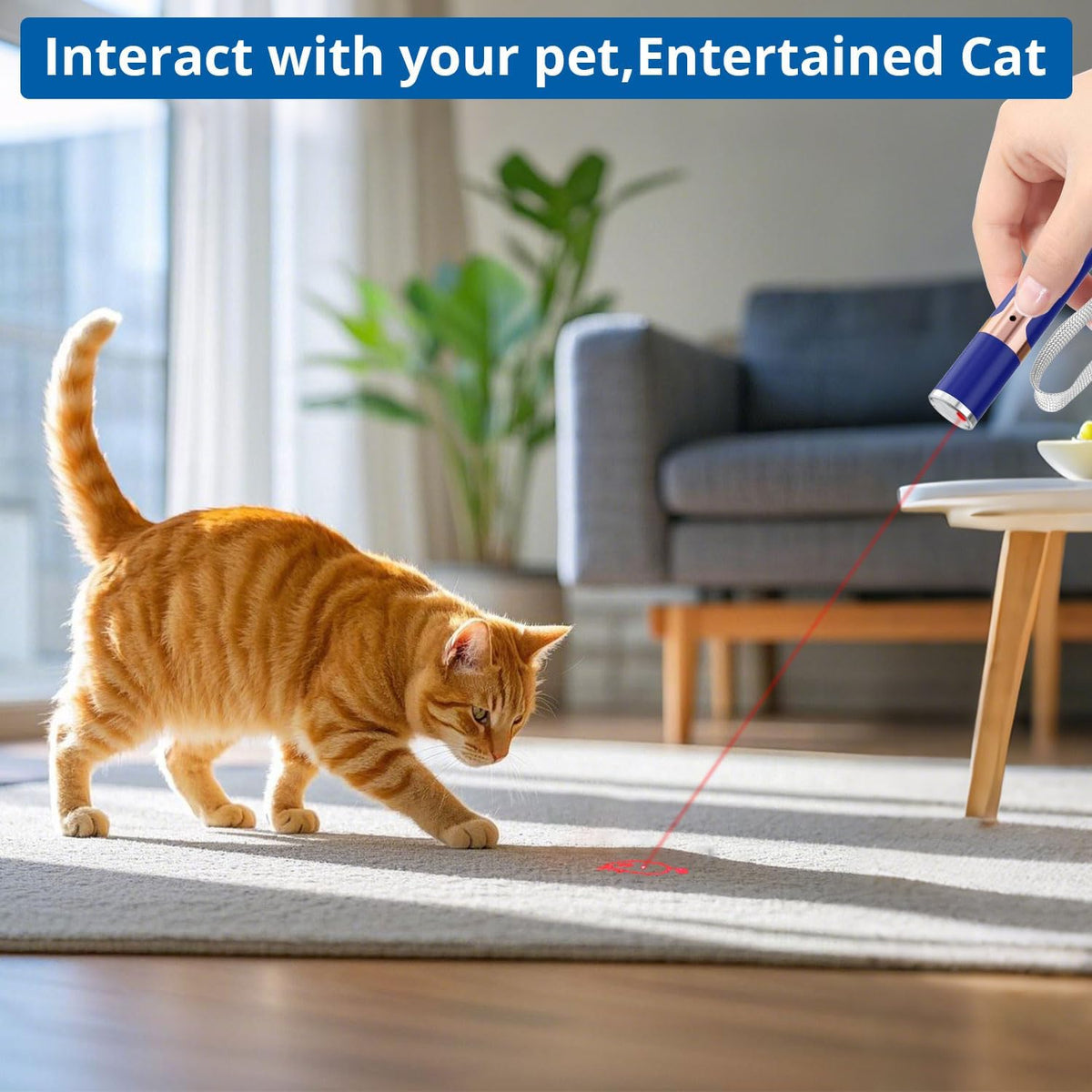 TBTeek Cat Toys, with Metal Case, Rechargeable - Blue / Red Light - image 2