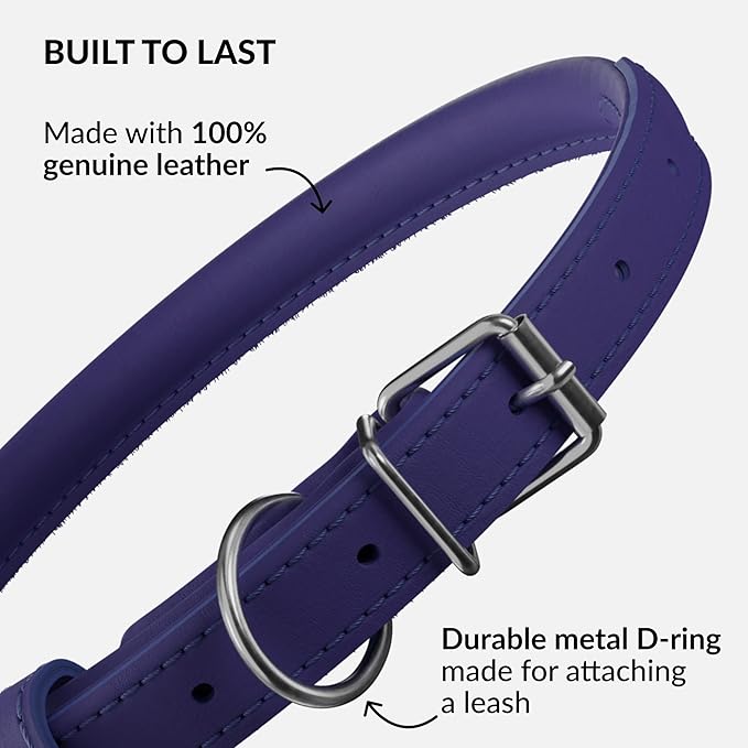 CollarDirect Rolled Leather Dog Collar, Soft Padded Round Puppy Collar, Handmade Genuine Leather Collar Dog Small Large Cat Collars 13 Colors (13-16 Inch, Purple Smooth)