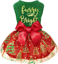 Fitwarm Birthday Girl Dog Tulle Dress - X-Small / Furry and Bright