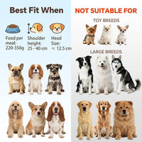Small Glass Tilted Elevated Cat Dog Bowl Raised Cat Food Water Bowl - Large / Glass - image 3