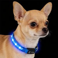 Super Bright LED Dog Collar, Waterproof Light up Collars – Essentials for Dogs - S (Width:0.6",Length:10" - 14.5") / Blue