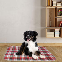 Dog Grass Pad with Washable Pee Pads for Puppy Potty Tray - Red & Blue / 36" x 48" (2 Pack) - image 2