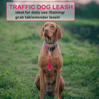 Short Dog Leash - 9 Inch Dogs Lead Grab Tab Heavy Duty Waterproof PVC Dog Training Traffic Leashes - 9'' / Violet - image 3