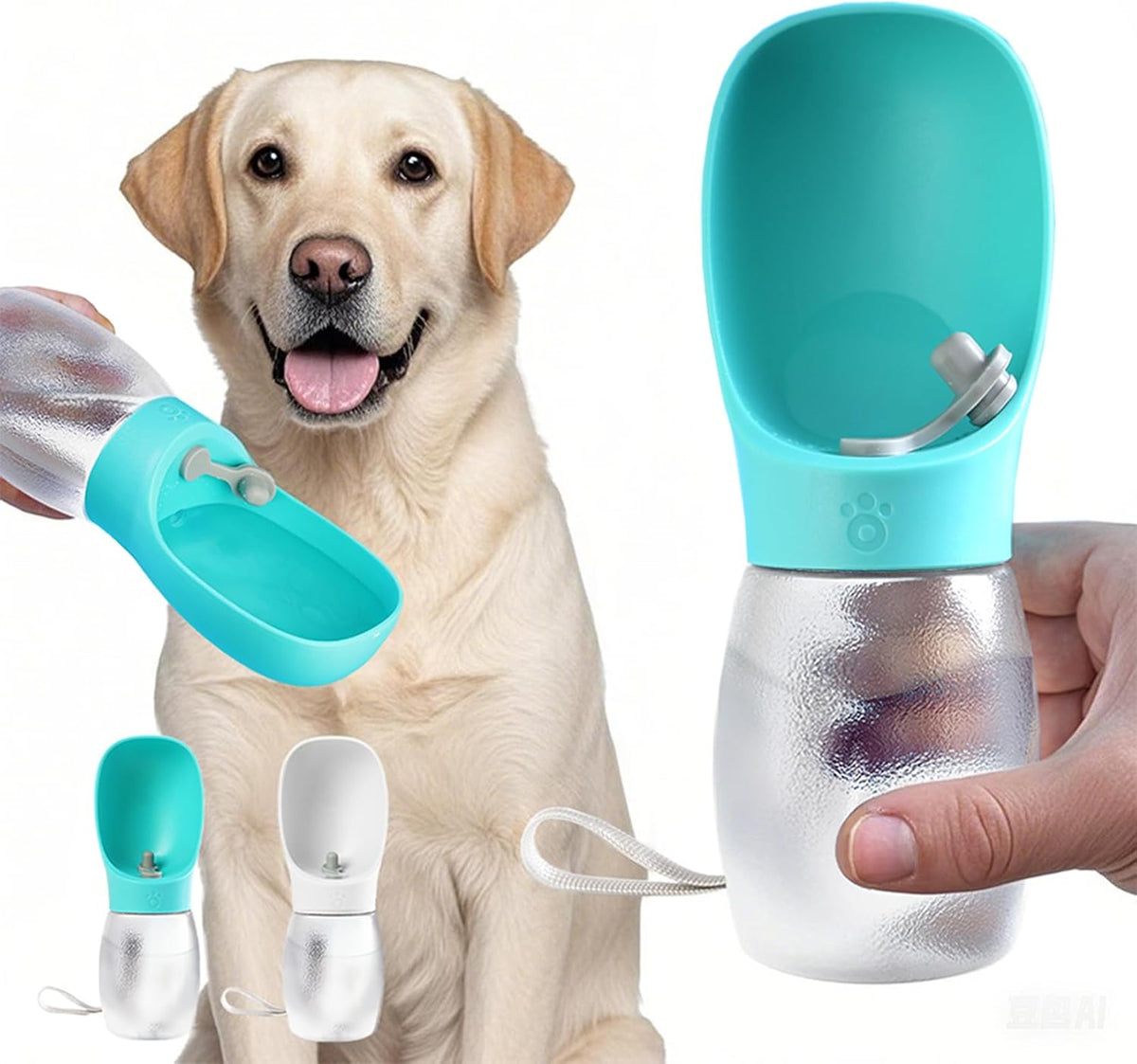 Kalimdor Dog Water Bottle - 12oz / Sky Blue
