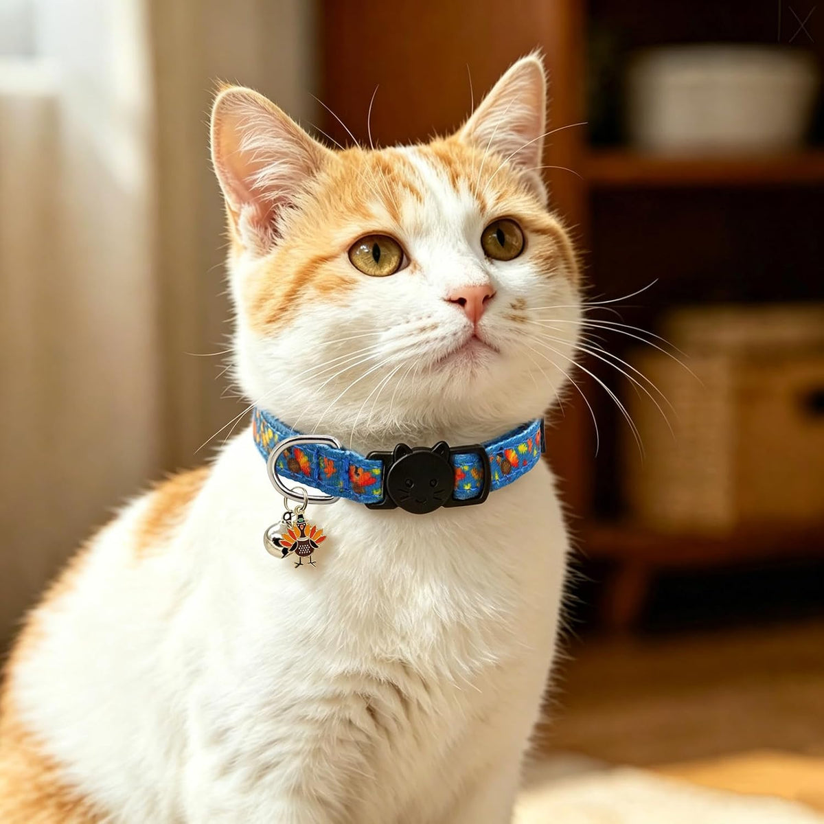 Halloween Cat Collar, Cotton 2 Pack Cat Collar with Bells - Thankgiving / 7-11'' - image 3