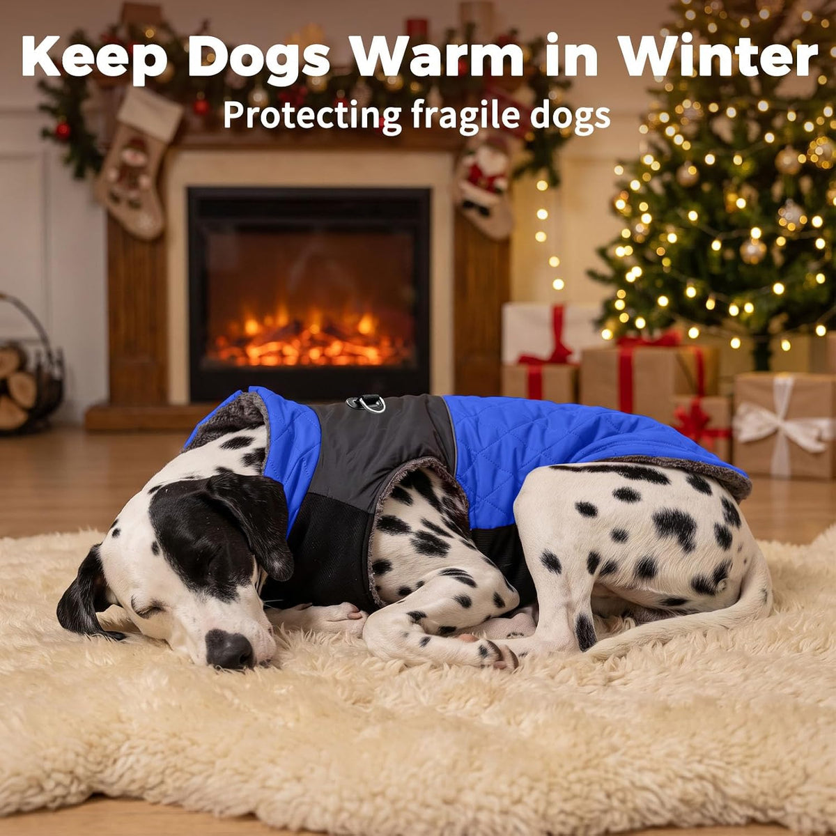 Winter Dog Coats for Small Dogs, Puppy Jacket with Harness - Blue(Standard) / Small - image 3