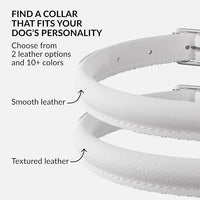 CollarDirect Rolled Leather Dog Collar, Soft Padded Round Puppy Collar, Handmade Genuine Leather Collar Dog Small Large Cat Collars 13 Colors (15-19 Inch, White Smooth)