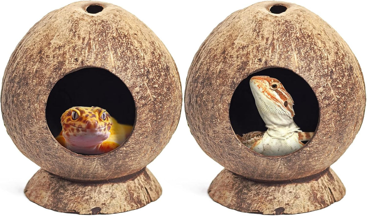 PINVNBY 2 PCS Natural Coconut Reptile Hideouts Lizard Coco Hut Hermit - Smooth Surface / High-Crowned Style, 2PCS