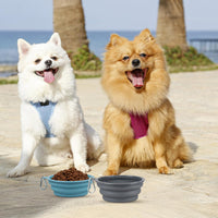 Kytely Collapsible Dog Bowls Medium - Lake Blue & Grey / Small - image 3
