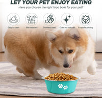 Stainless Steel Dog Bowls - Green / 6.6 Cups/53 OZ - image 2