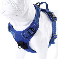 Truelove No Pull Dog Harness with Easy Control Handle and 2 Leash - Small / Royal Blue