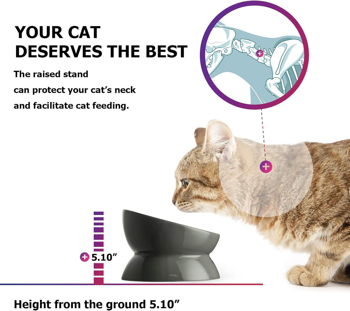 Y YHY Cat Bowl Anti Vomiting, Raised Food Bowls - 7.2 Inches / Grey - image 3