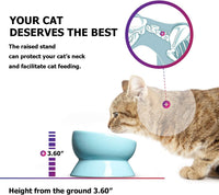 Y YHY Cat Bowl Anti Vomiting, Raised Food Bowls - 15oz / Lake Blue - image 3