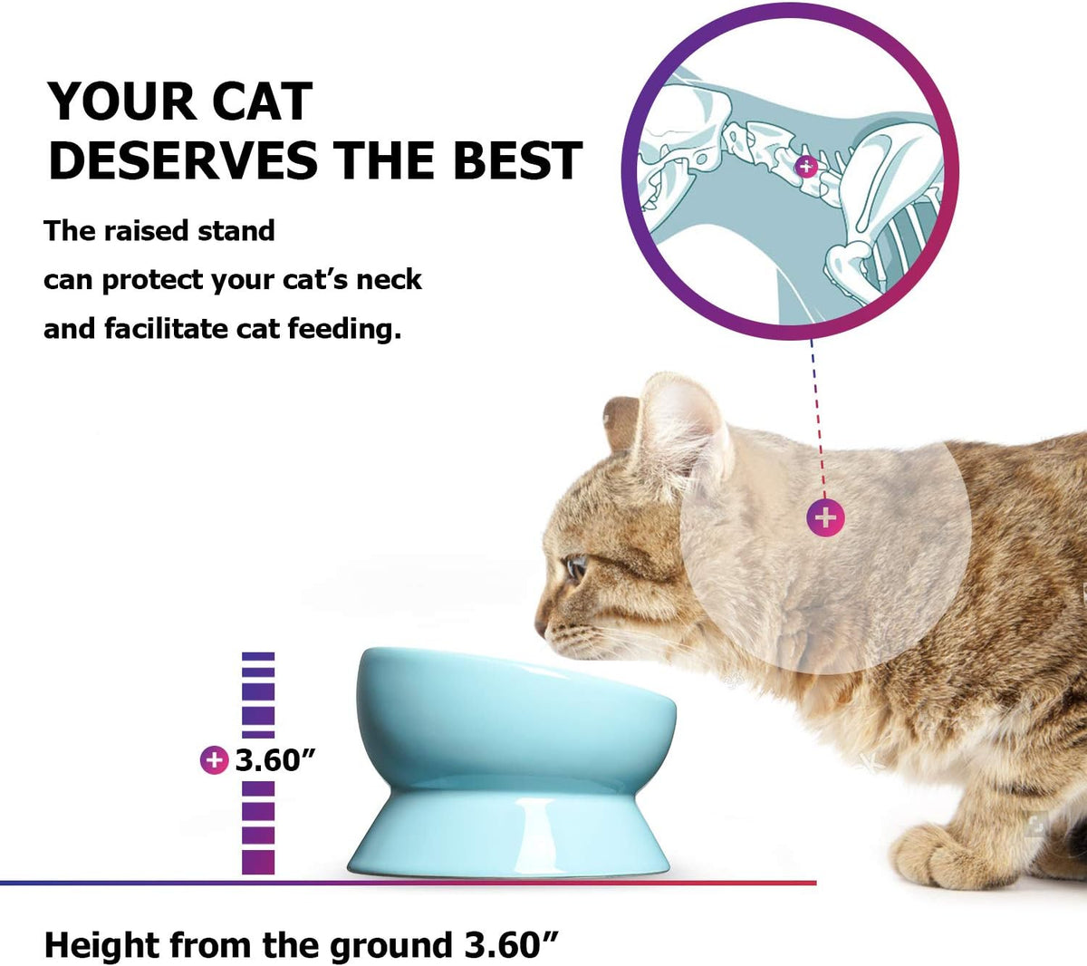 Y YHY Cat Bowl Anti Vomiting, Raised Food Bowls - 15oz / Lake Blue - image 3