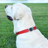 Dogline Biothane Waterproof Dog Collar with Herm Sprenger Black Stainless Steel Quick Release Buckle – Heavy Duty Tactical Durable Collar for Dogs – Comfortable and Safe Pet Collar W 1" L 15-25" Red
