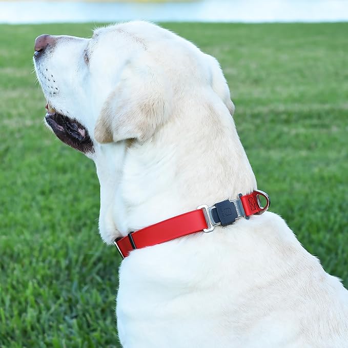 Dogline Biothane Waterproof Dog Collar with Herm Sprenger Stainless Steel Quick Release Buckle – Heavy Duty Tactical Durable Collar for Dogs – Comfortable and Safe Pet Collar, W 1" L 15-25", Red
