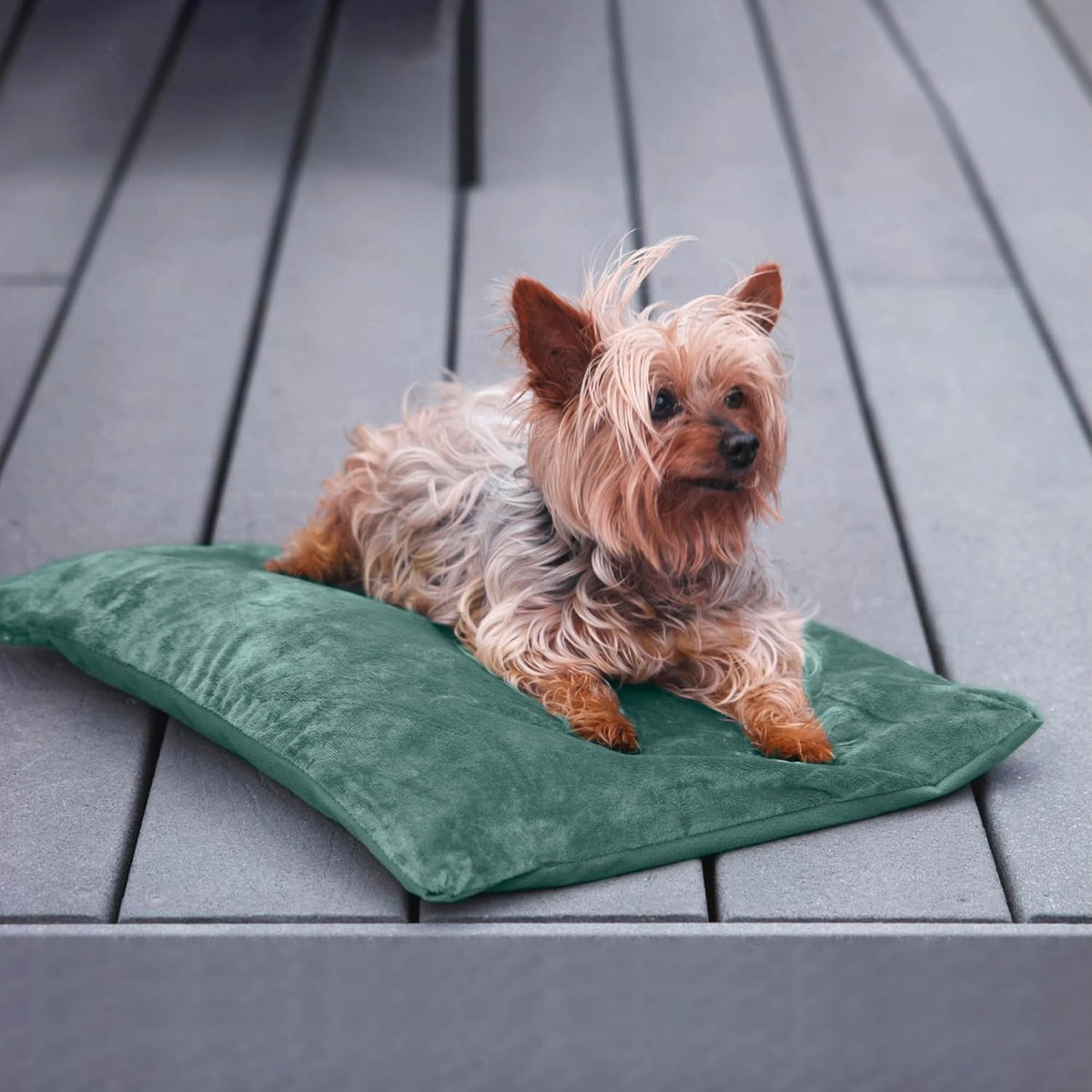Outdoor Cat Heating Pad, 15.7" x 11.8", 30W, Grey – Essentials for Cats - Green / 35.4"L x 23.6"W - image 4