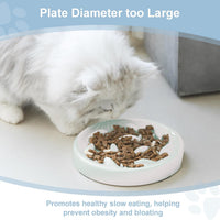Slow Feeder Bowl for Cats and Small Dogs - White - image 2
