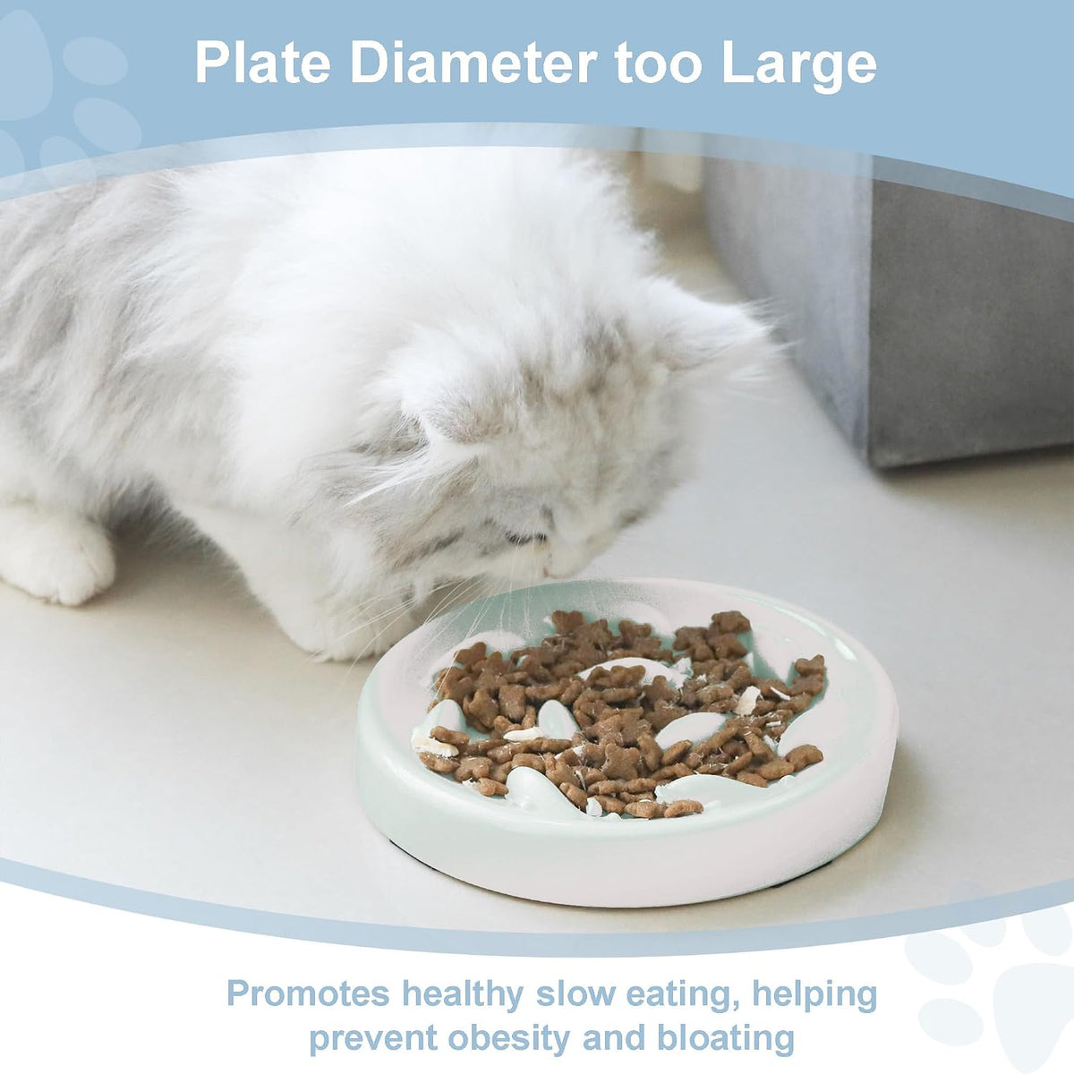 Slow Feeder Bowl for Cats and Small Dogs - White - image 2