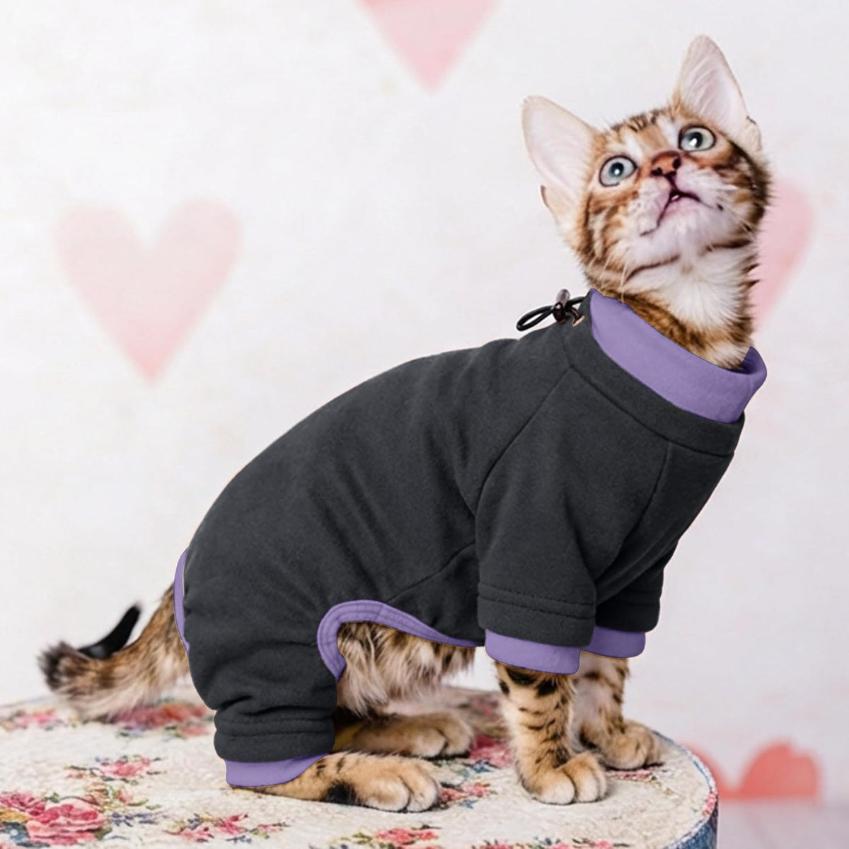 Sticky Hair Cat Clothes, Prevent Loss Pajamas - Medium / Black - image 4