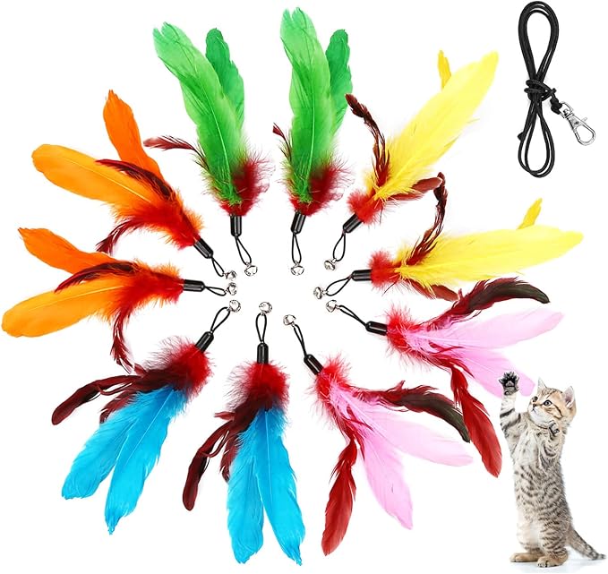 11PCS Cat Feather Toys Refills, 10PCS Feathers and 1PC String, Interactive Cat Wand Toy Replacement for Bored Indoor Adult Cats & Kittens