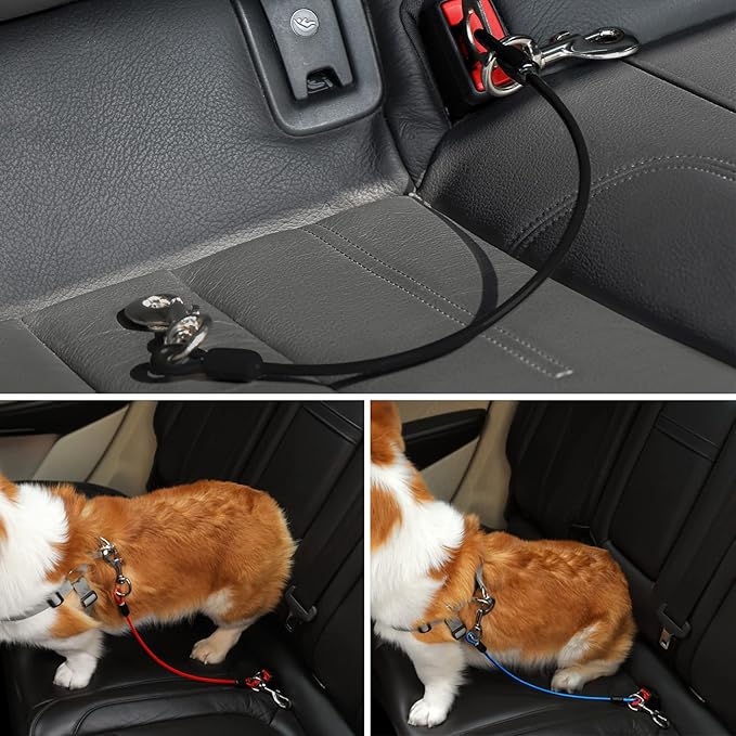 Dog Seat Belt Harness for Car,2pcs Dog Seatbelt of Coated Wire Leash Safety Restraint,No Chew Tether Cable Vehicle Dogs Accessories,Double Clips & Latch (2 Pack Black, 32 inch/80 CM)