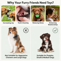 LECHONG Dog Toys for Aggressive Chewers Tough Rope Chew Toys - 24pack - image 4