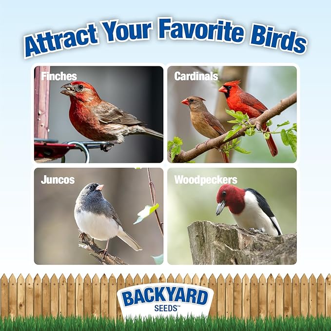 Backyard Seeds Songbird Blend Mixed Bird Seed - Attracts Bluebirds, Cardinals, Chickadees (7 Pounds)