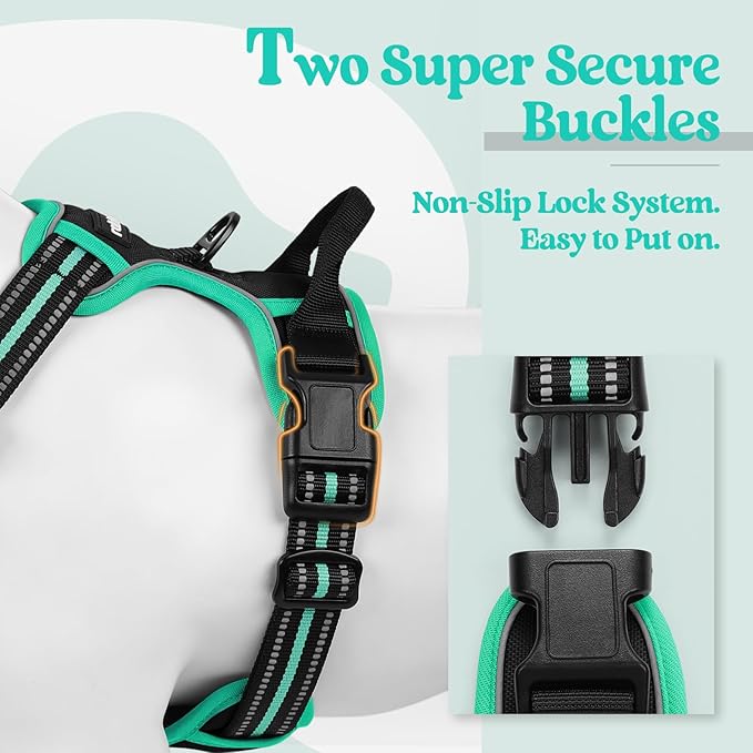 rabbitgoo Dog Harness No Pull with 2 Leash Clips, Adjustable Soft Padded, Reflective Oxford No Choke Pet Vest with Easy Control Handle for Large Dogs, Black & Turquoise, XL