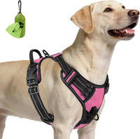 Joytale No Pull Dog Harness Medium Sized Dog, Front Clip - Large / Pink