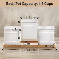 Herb Planter Indoor - 3 Iron Herb Pots with Drainage Holes, Varnished Bamboo Tray, Customizable Labels & Marker Pen - Indoor Herb Garden Planter - 3 Pots for Herbs - Inside Spice Garden - Basil Pot