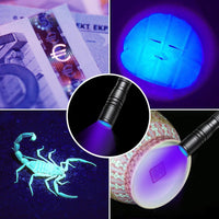 UV Flashlight 395nm Zoomable Black Light Lamp Ultraviolet Lights – Essentials for Dogs - 1 Pcs Uv Penlight + 1 Pcs Led Flashlight - image 4