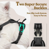 rabbitgoo Dog Harness No Pull with 2 Leash Clips, Adjustable Soft Padded, Reflective Oxford No Choke Pet Vest with Easy Control Handle for Puppy, Black, XS