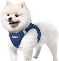 rabbitgoo Step-in Small Dog Harness - Navy Blue / S(chest:15.1"-16.5")