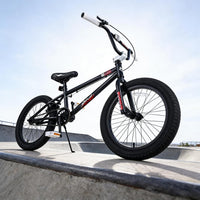 vollsch RUCKUS 20 inch kids freestyle BMX bike with pegs - view 37