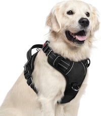 rabbitgoo Dog Harness for Large, No Pull 3 Buckles Easy On & Off – Essentials for Dogs - Black / X-Large