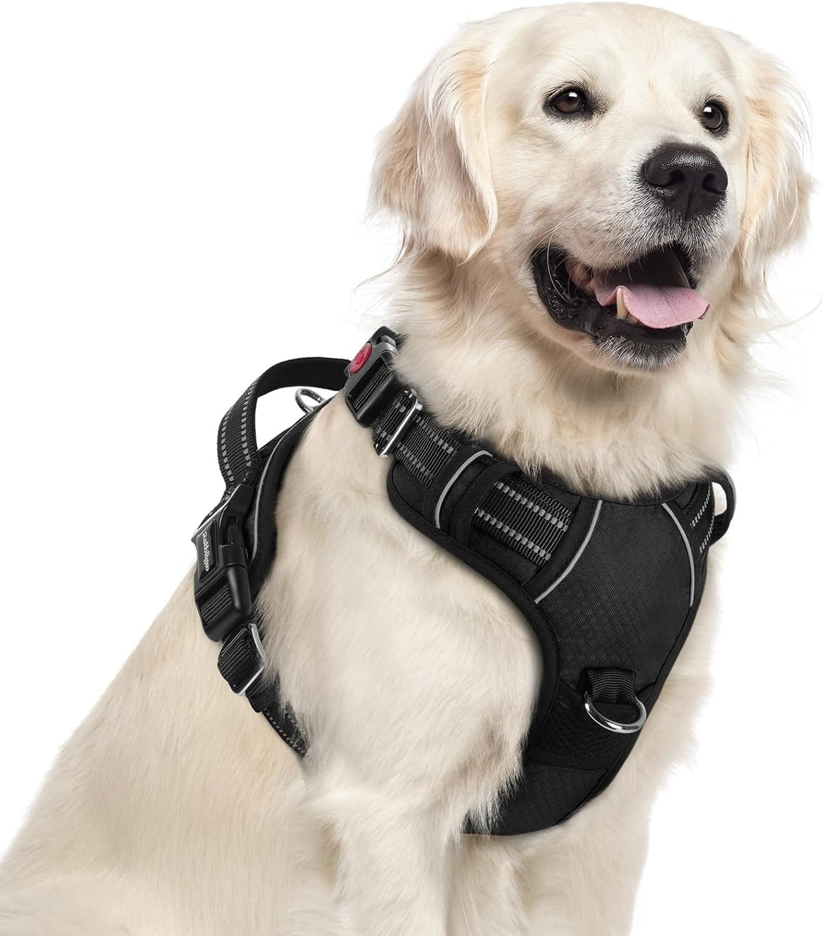 rabbitgoo Dog Harness for Large, No Pull 3 Buckles Easy On & Off – Essentials for Dogs - Black / X-Large