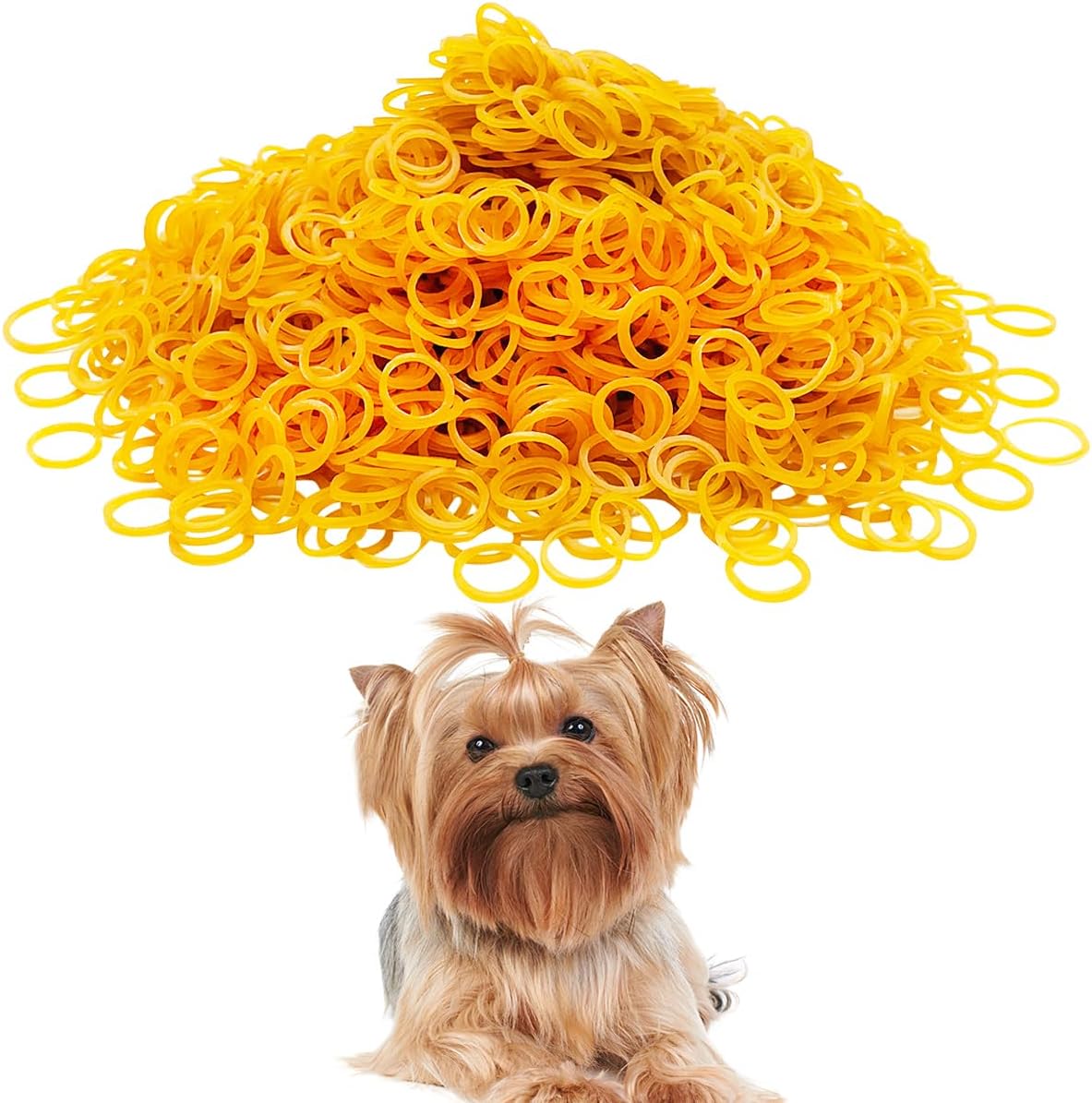 PET SHOW 1000pcs 10MM Dia. 100G/Pack Bulk Dog Rubber Bands for Hair - 15mm 100G=900pcs