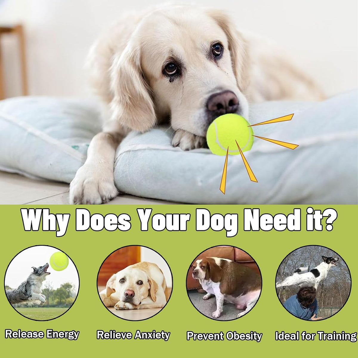 Magicorange Dog Tennis Balls - Multicolor / 40 Pack - image 3