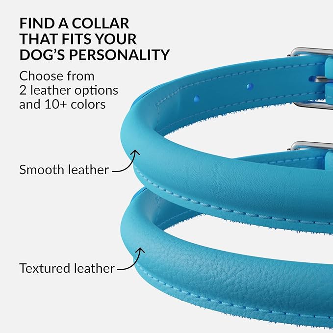CollarDirect Rolled Leather Dog Collar, Soft Padded Round Puppy Collar, Handmade Genuine Leather Collar Dog Small Large Cat Collars 13 Colors (13-16 Inch, Light Blue)
