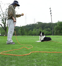 Taglory Long Dog Leash, 15FT 30FT 50FT 66FT, Training and Recall Leash with Comfortable Padded - 50 Foot - with handle / Orange - image 4