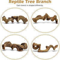 Reptile Climbing Decor 1.8-2.2" Thick Wood Branches Snake Habitat - 11.8 inches (2 Pack) - image 2
