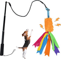 ASOCEA Flirt Pole with Tug Toy for Small Medium Large Dogs Outdoor