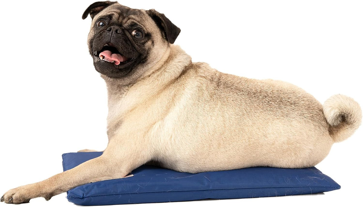 CoolerDog Hydro Cooling Mini Mat for Dogs - image 3