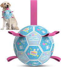 QDAN Dog Balls, Herding Balls for Dogs - Birthday Blue / Large Size 3 (8 Inch)
