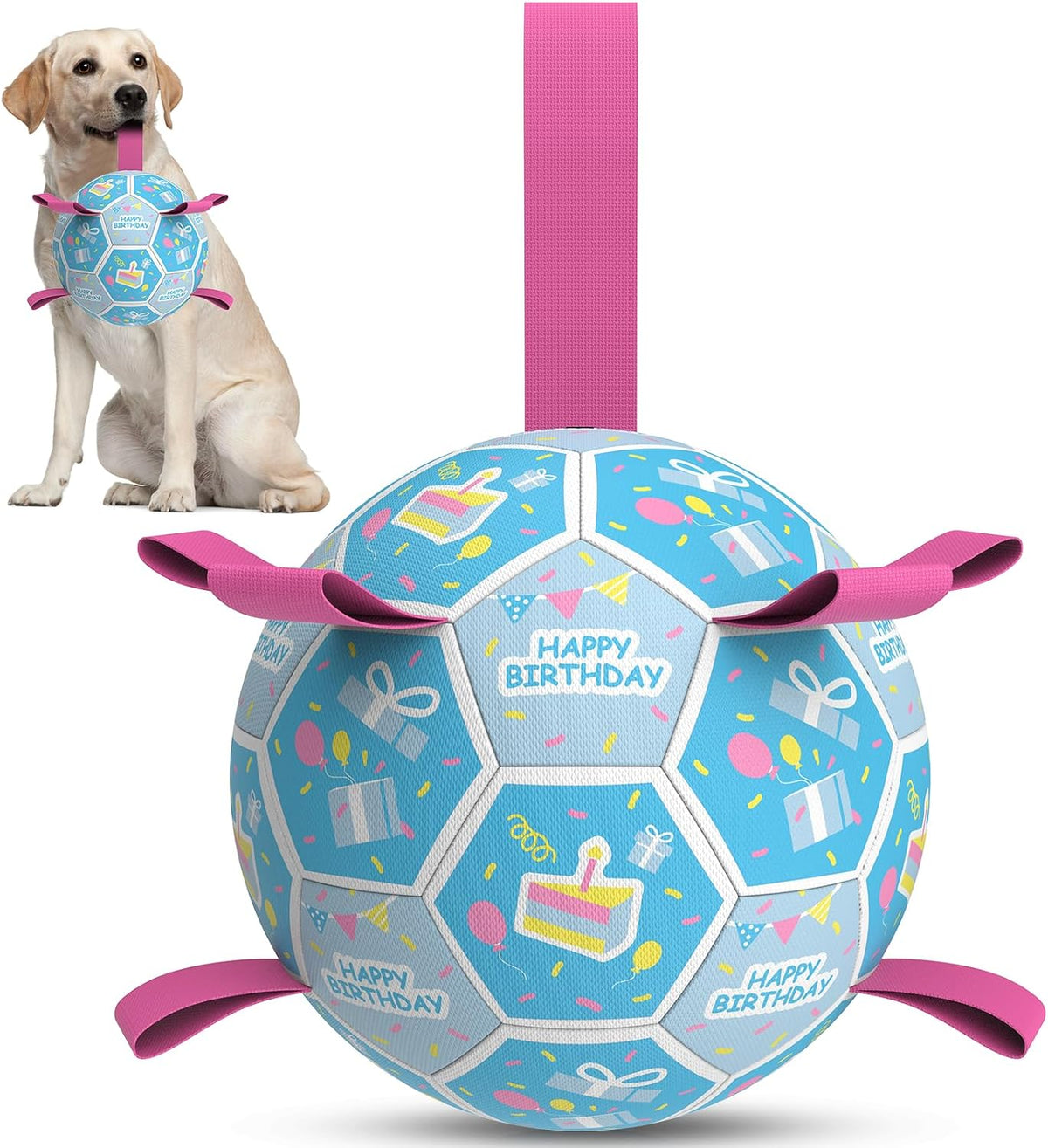 QDAN Dog Balls, Herding Balls for Dogs - Birthday Blue / Large Size 3 (8 Inch)
