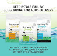 Blackwood Bounty Dry Cat Food, Whitefish & Lentil Recipe for All Life Stages, 10 Pound Bag, High Protein, Grain Free
