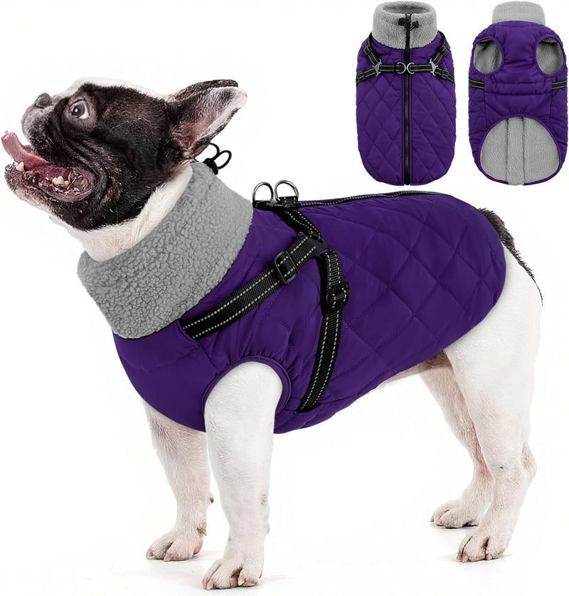 Dog Coat for Small Dogs with Harness Dachshund Coat Dog Jacket – Essentials for Dogs - Medium / Purple