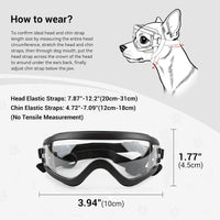 Dog Goggles for Small Breeds - Small / Clear - image 4