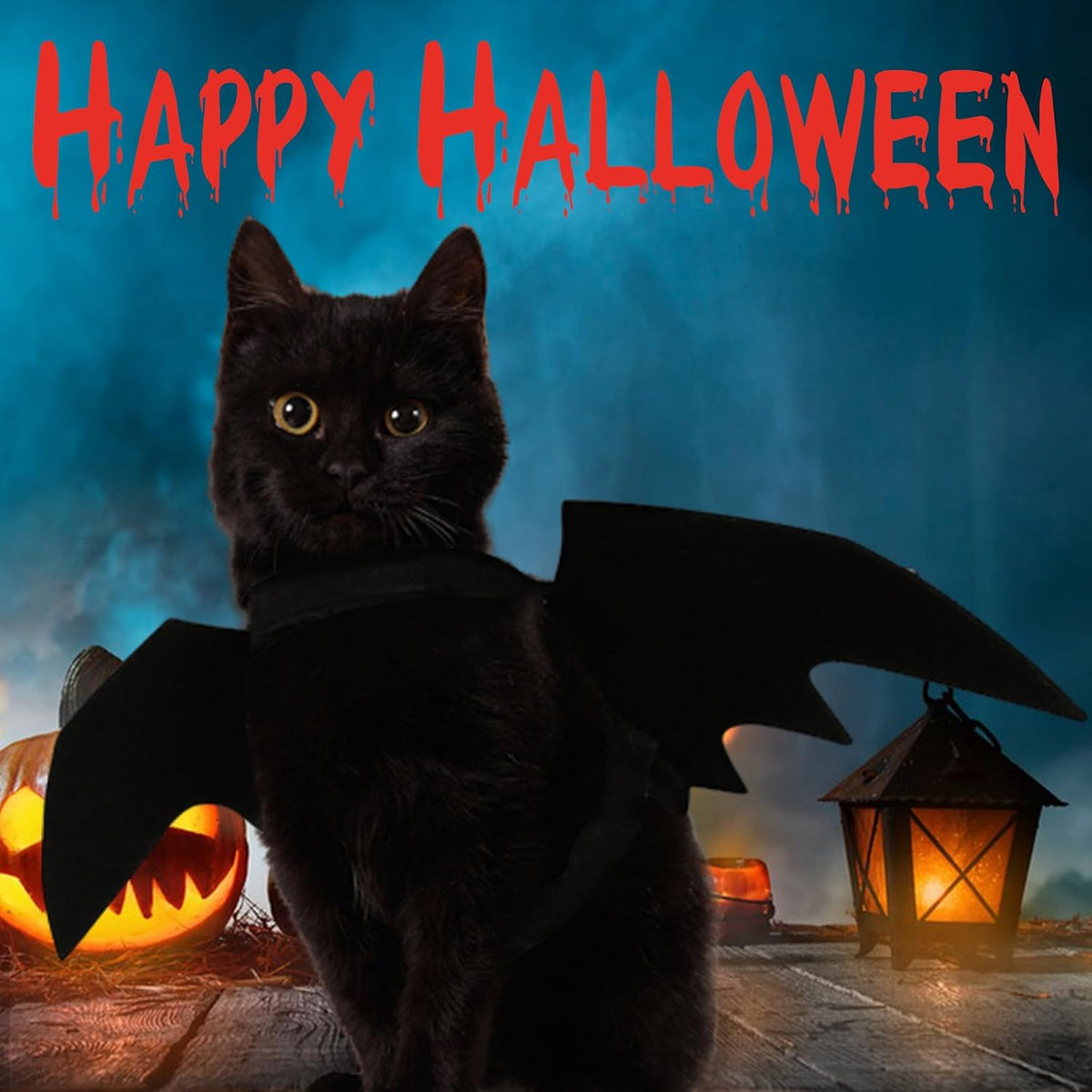 Cat Bat Wings Halloween Puppy Bat Wings Pet Bat Costume Cosplay Bat - Bat Wings - image 3